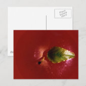 Red Apple Briefkaart (Voorkant / Achterkant)