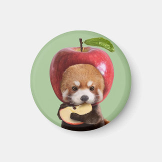 Red Apple Panda Magneet