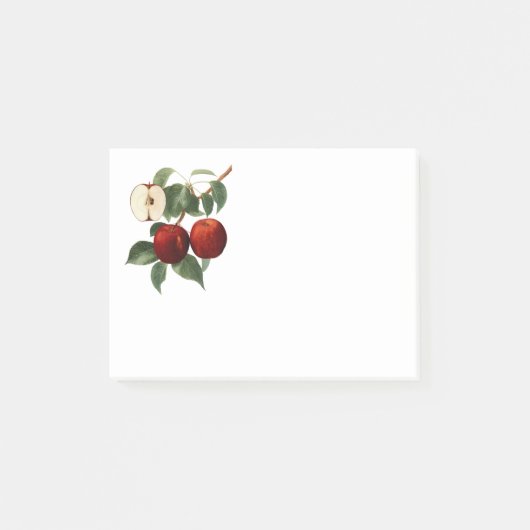Red Apples Botanical Teacher Name 4x3 Post-it® Notes (Voorkant)
