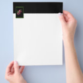 Red Apples Flyer (Hand)