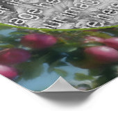 Red Apples on Tree Lijst Voeg je foto toe Poster (Hoek)