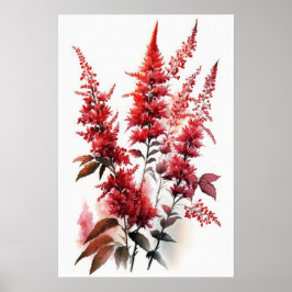 Red Astilbe Flower Art Print Poster