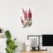 Red Astilbe Flower Art Print Poster (Thuiskantoor)