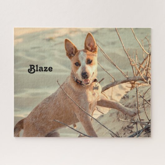 Red Australian Cattle Dog - Heeler - in de sneeuw Legpuzzel (Horizontaal)