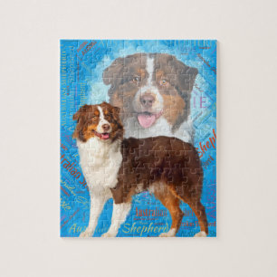 Red Australian Shepherd dogs - Aussie Legpuzzel