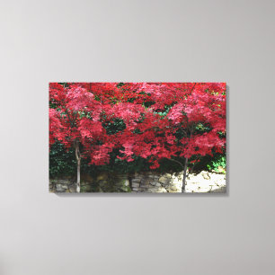 Red Autumn Trees Canvas Print