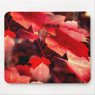 Red Autumn verliest Natuur Muismat