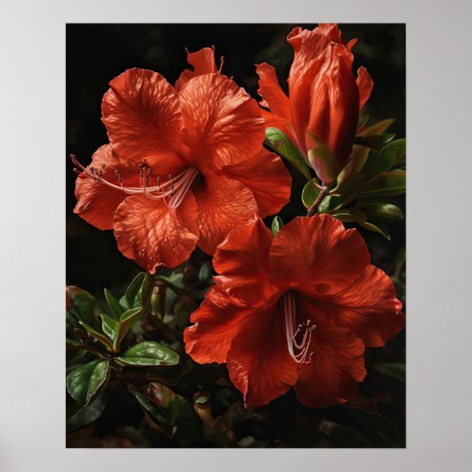 Red Azalea Flowers Art Print Poster (Voorkant)