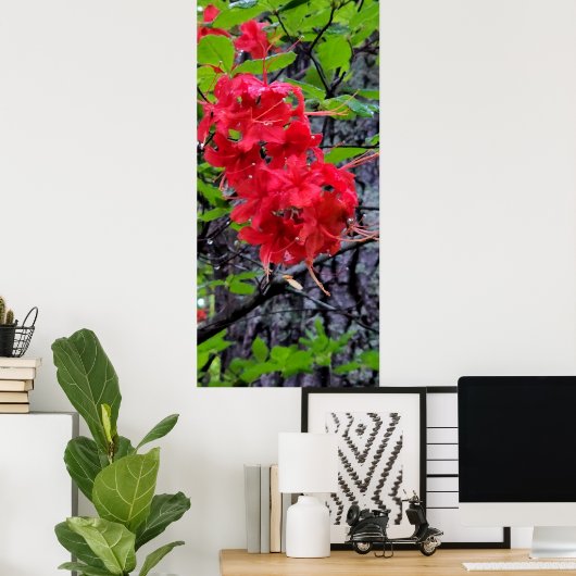 Red Azalea Flowers Poster (Thuiskantoor)