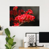 Red Azaleas en betekenis Poster (Thuiskantoor)
