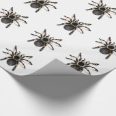 Red Banded Tarantula spider Cadeaupapier (Hoek)