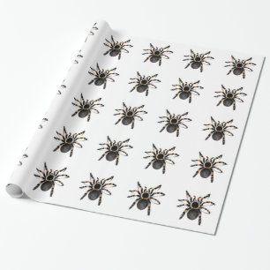 Red Banded Tarantula spider Cadeaupapier