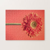 Red Barberton Gerbera Daisy Flower Legpuzzel (Horizontaal)