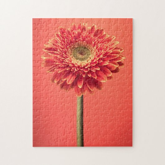Red Barberton Gerbera Daisy Flower Legpuzzel (Verticaal)