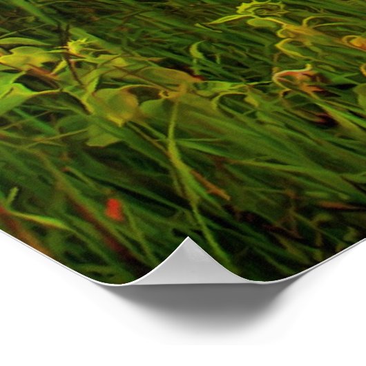 Red Barn Poster (Hoek)