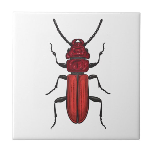 Red beetle tegeltje (Voorkant)