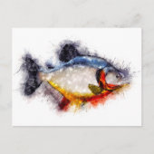 Red Bellied Piranha Waterverf monster vis kunst Briefkaart (Voorkant)