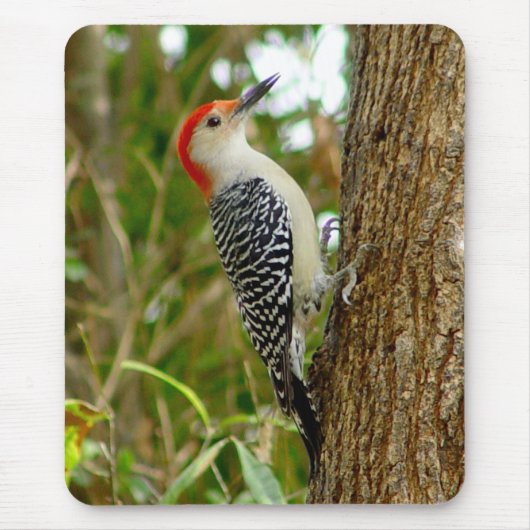 Red bellied Woodpecker Bird Mousepad Muismat (Voorkant)