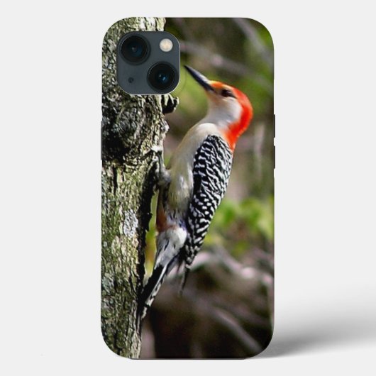 Red Bellied Woodpecker Case-Mate iPhone Case (Achterkant)