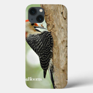 Red-Bellied Woodpecker iPhone 13 Hoesje