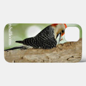 Red-Bellied Woodpecker Case-Mate iPhone Case (Achterkant (horizontaal))