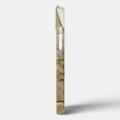 Red-Bellied Woodpecker Case-Mate iPhone Case (Achterkant / Links)