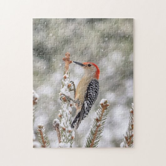 Red-bellied Woodpecker in de sneeuw Legpuzzel (Verticaal)