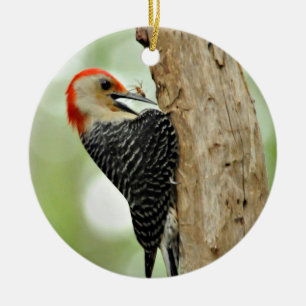 Red-Bellied Woodpecker Keramisch Ornament