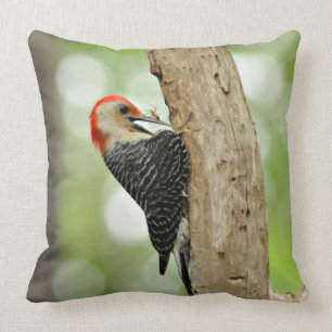 Red-Bellied Woodpecker Kussen