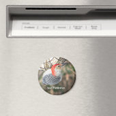 Red-bellied Woodpecker magnet Magneet (Insitu (Vaatwasser))