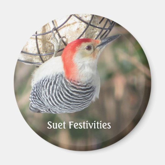 Red-bellied Woodpecker magnet Magneet (Voorkant)