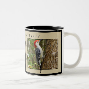 Red Bellied Woodpecker Mok 2
