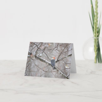 Red Bellied Woodpecker Notecard - Blank Inside Kaart