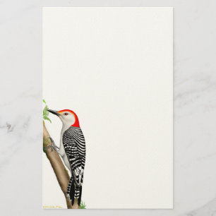 Red Bellied Woodpecker op een Branch Stationery Briefpapier