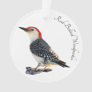 Red-Bellied Woodpecker Ornament