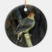 Red-bellied Woodpecker Ornament (Achterkant)
