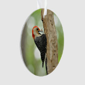 Red-Bellied Woodpecker Ornament (voorkant)