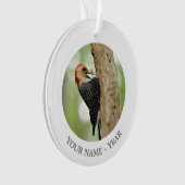 Red-Bellied Woodpecker Ornament (voorkant)