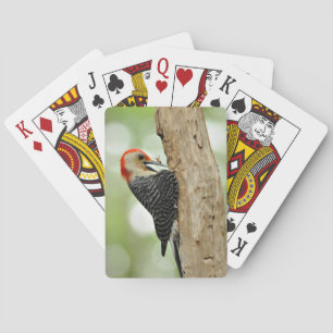 Red-Bellied Woodpecker Pokerkaarten