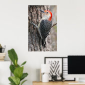 Red-Bellied Woodpecker Poster (Thuiskantoor)