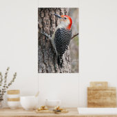 Red-Bellied Woodpecker Poster (Keuken)
