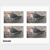 Red-Bellied Woodpecker Rechthoekige Sticker (Vel)