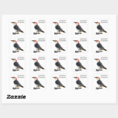 Red Bellied Woodpecker Vierkante Sticker (Vel)