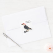 Red Bellied Woodpecker Vierkante Sticker (Envelop)