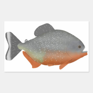 Red Belly Piranha Rechthoekige Sticker