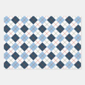 Red Berries Blue Flowers Pset Stripes Kerstmis Inpakpapier Vel (Voorkant 3)