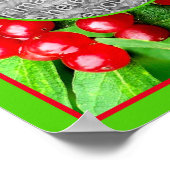 Red Berries With Raindrops Nature Add Your Photo Poster (Hoek)