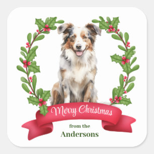 Red Berry Holly Banner Australian Shepherd Holiday Vierkante Sticker