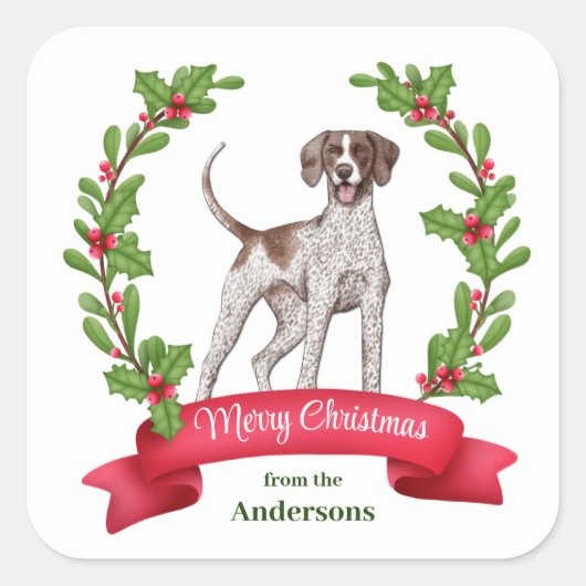Red Berry Holly Banner Pointer Dog Kerstmis Vierkante Sticker (Voorkant)