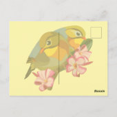 RED-BILLED LEIOTHRIX BIRDS BRIEFKAART (Achterkant)